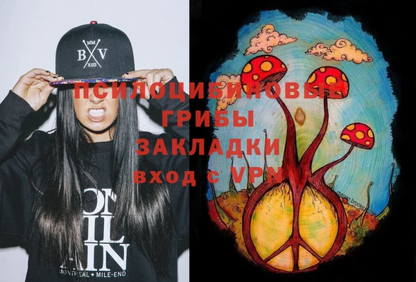 ешки Алексеевка