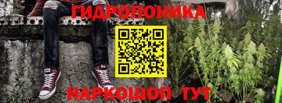 PSILOCYBIN Гусев