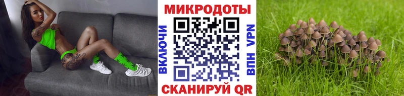 Псилоцибиновые грибы MAGIC MUSHROOMS  ОМГ ОМГ как зайти  Нижний Новгород 