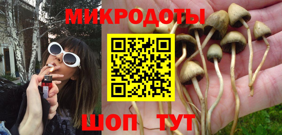Псилоцибиновые грибы Psilocybine cubensis  Вход с VPN  Нижний Новгород 